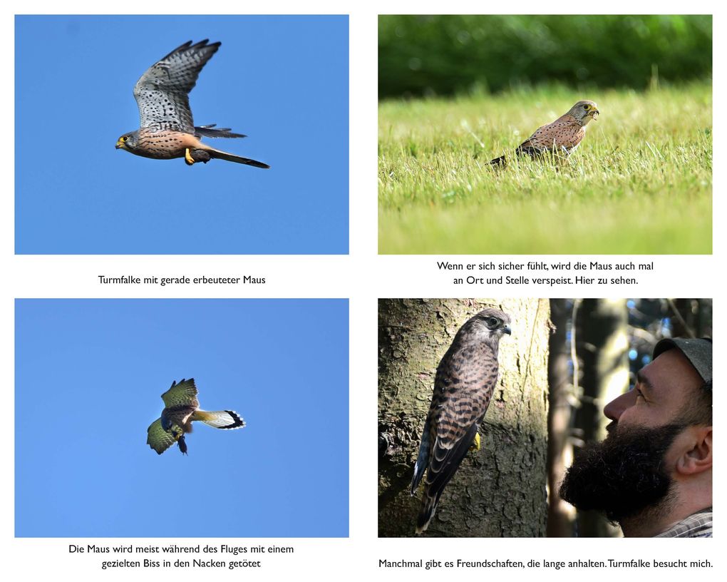 Weitere Ansicht: Der mit den Waldtieren spricht | Wolfgang Schreil, Leo G. Linder