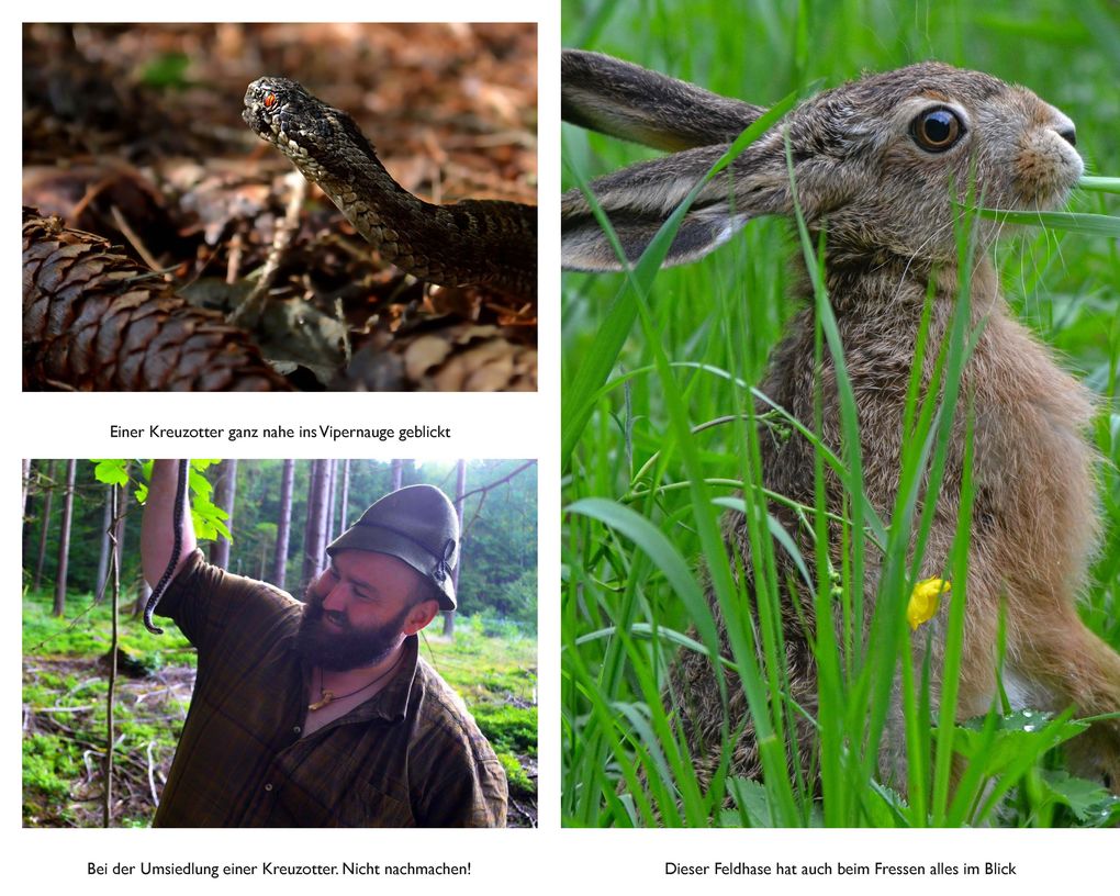 Weitere Ansicht: Der mit den Waldtieren spricht | Wolfgang Schreil, Leo G. Linder