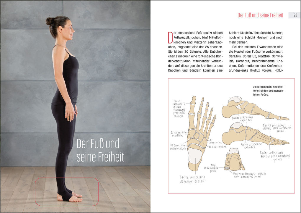 Weitere Ansicht: Laufen mit Tigerfeeling | Benita Cantieni