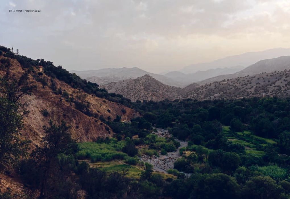 Weitere Ansicht: Mountain Houses | Nina Freudenberger