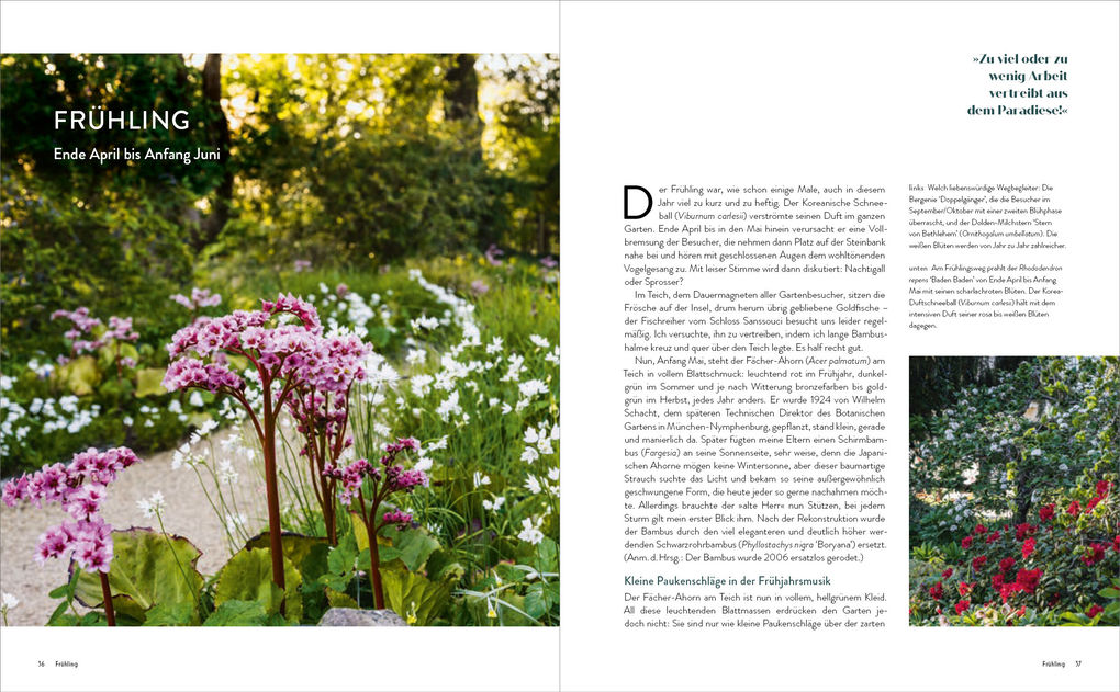 Weitere Ansicht: Der Garten meines Vaters Karl Foerster | Marianne Foerster