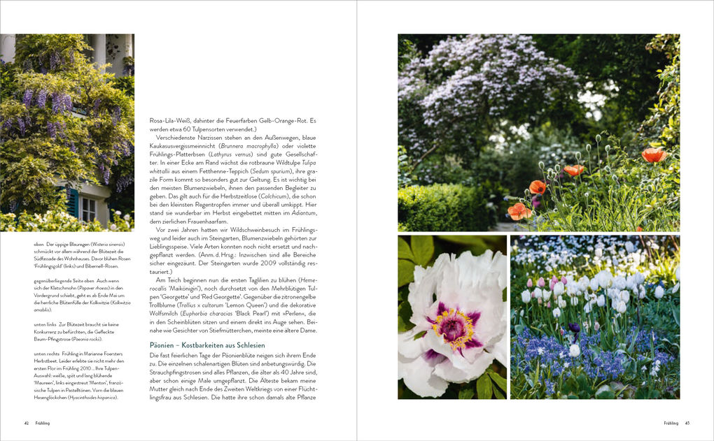 Weitere Ansicht: Der Garten meines Vaters Karl Foerster | Marianne Foerster