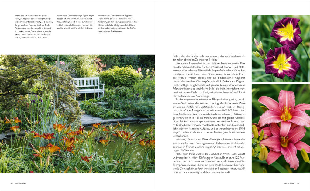 Weitere Ansicht: Der Garten meines Vaters Karl Foerster | Marianne Foerster