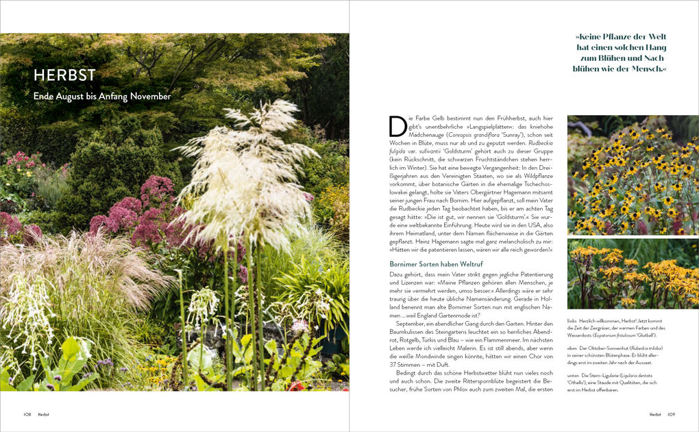 Weitere Ansicht: Der Garten meines Vaters Karl Foerster | Marianne Foerster