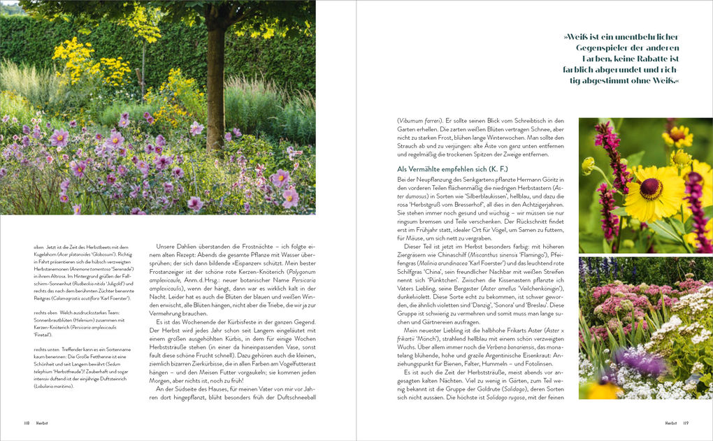 Weitere Ansicht: Der Garten meines Vaters Karl Foerster | Marianne Foerster