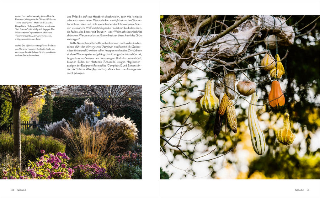 Weitere Ansicht: Der Garten meines Vaters Karl Foerster | Marianne Foerster