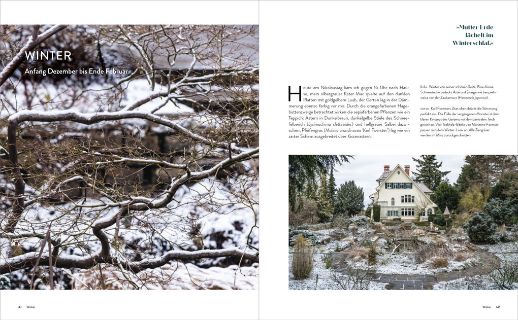 Weitere Ansicht: Der Garten meines Vaters Karl Foerster | Marianne Foerster