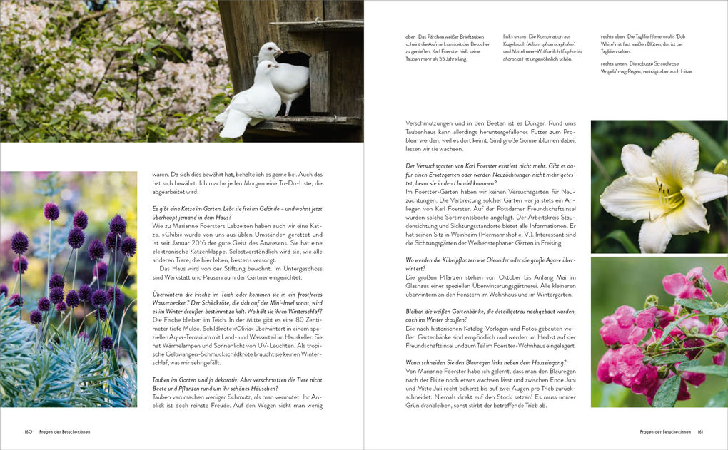 Weitere Ansicht: Der Garten meines Vaters Karl Foerster | Marianne Foerster