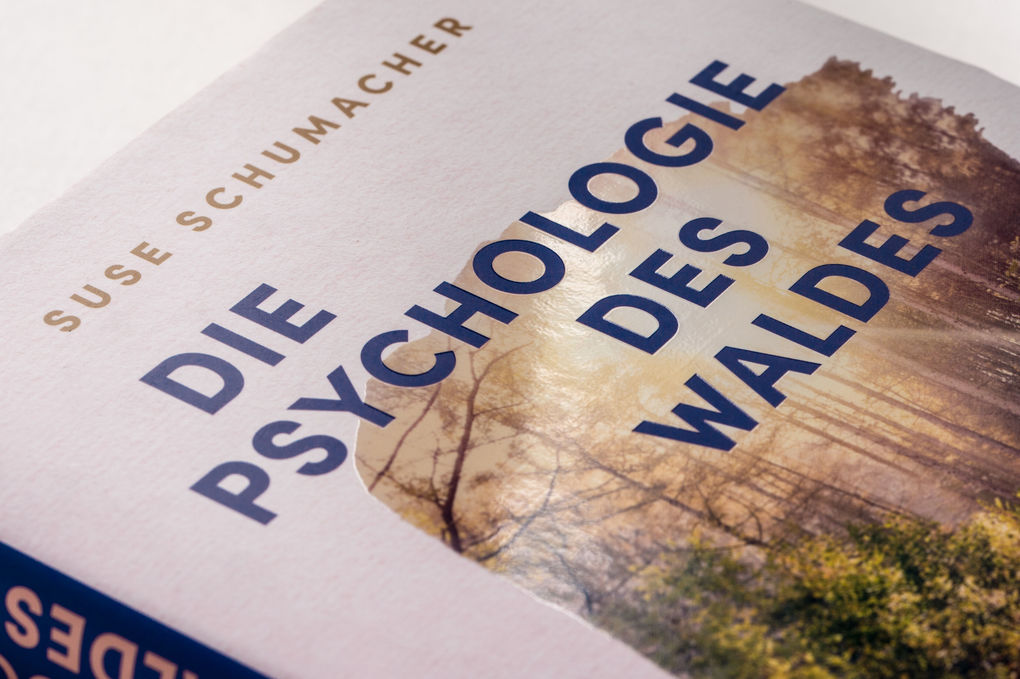 Weitere Ansicht: Die Psychologie des Waldes | Suse Schumacher