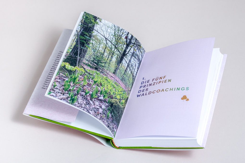 Weitere Ansicht: Die Psychologie des Waldes | Suse Schumacher