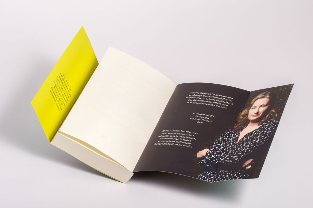 Weitere Ansicht: Der fremde Passagier | Louise Candlish