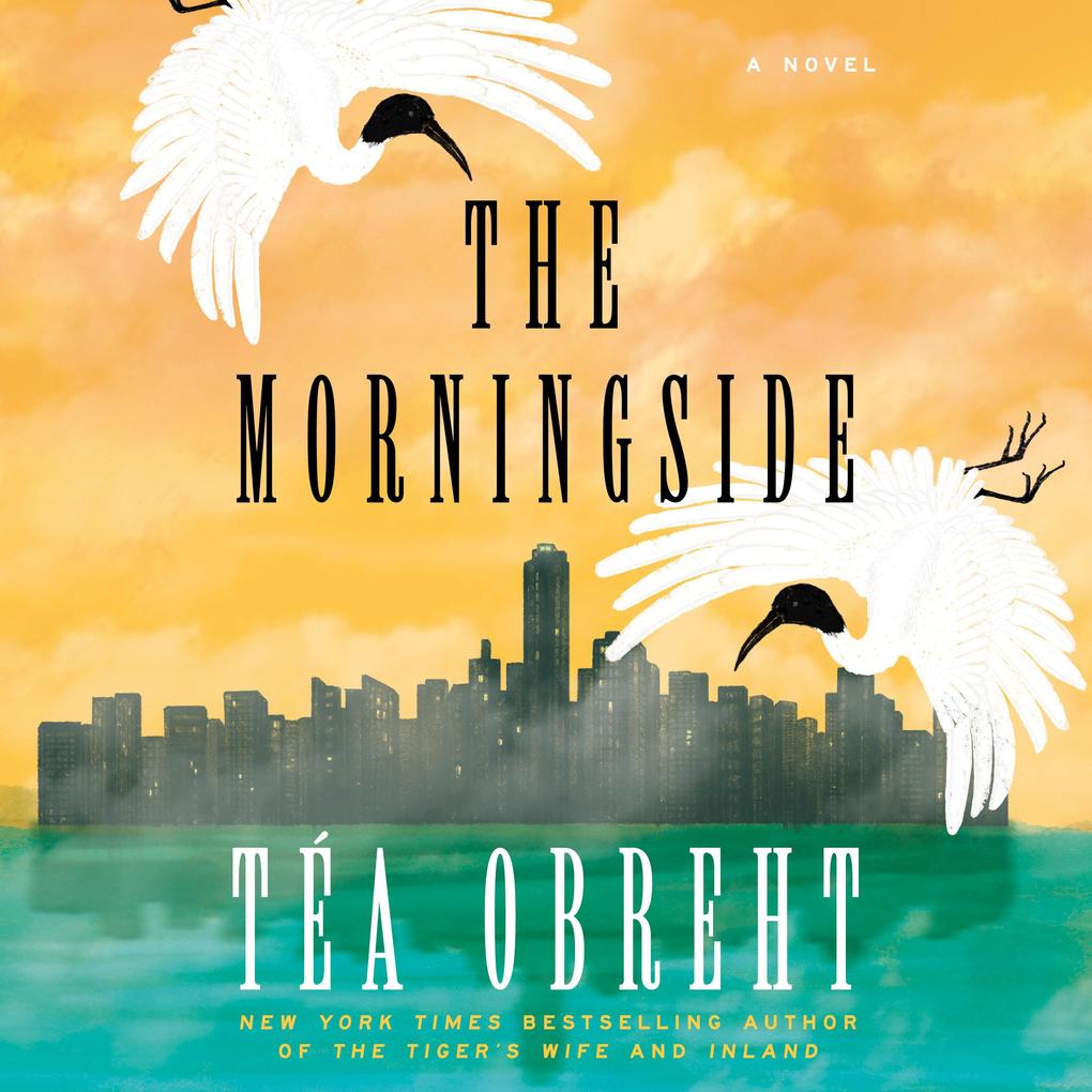 Produktbild: The Morningside | Téa Obreht