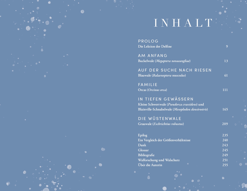 Weitere Ansicht: Die Reise der Wale | Leigh Calvez