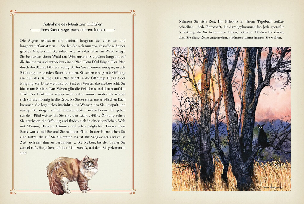 Weitere Ansicht: Katzenmagie | Rieka Moonsong