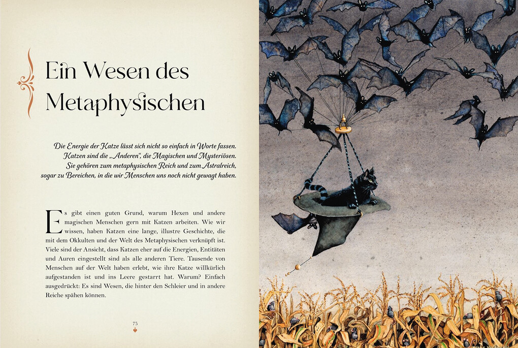 Weitere Ansicht: Katzenmagie | Rieka Moonsong