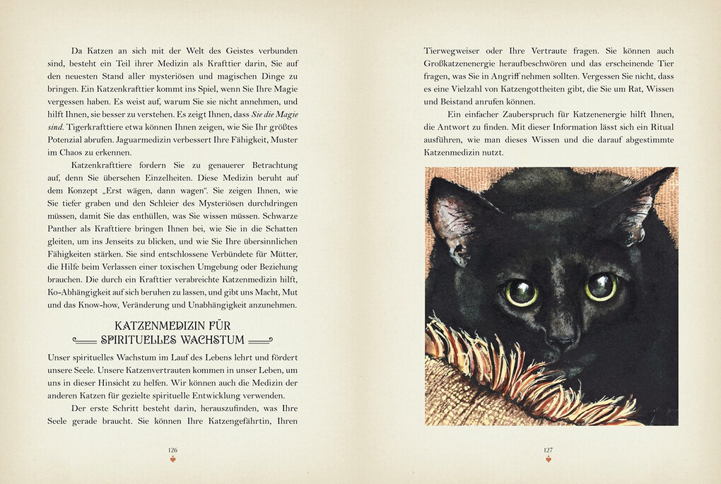 Weitere Ansicht: Katzenmagie | Rieka Moonsong