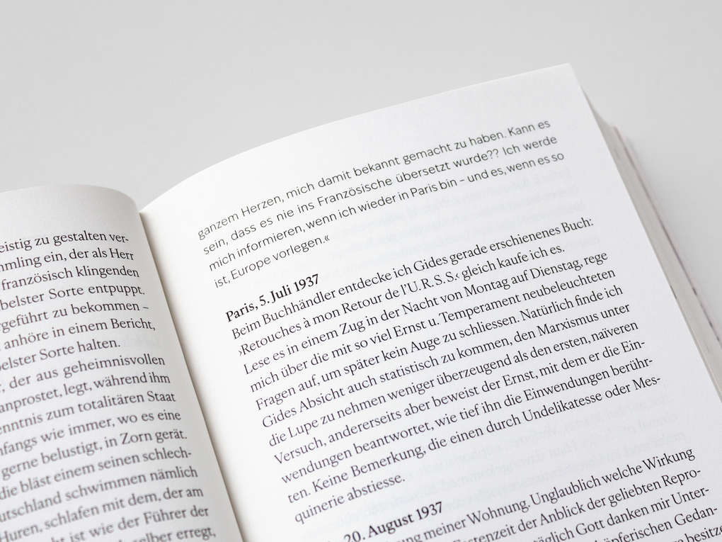 Weitere Ansicht: Die Pariser Jahre | Thea Sternheim