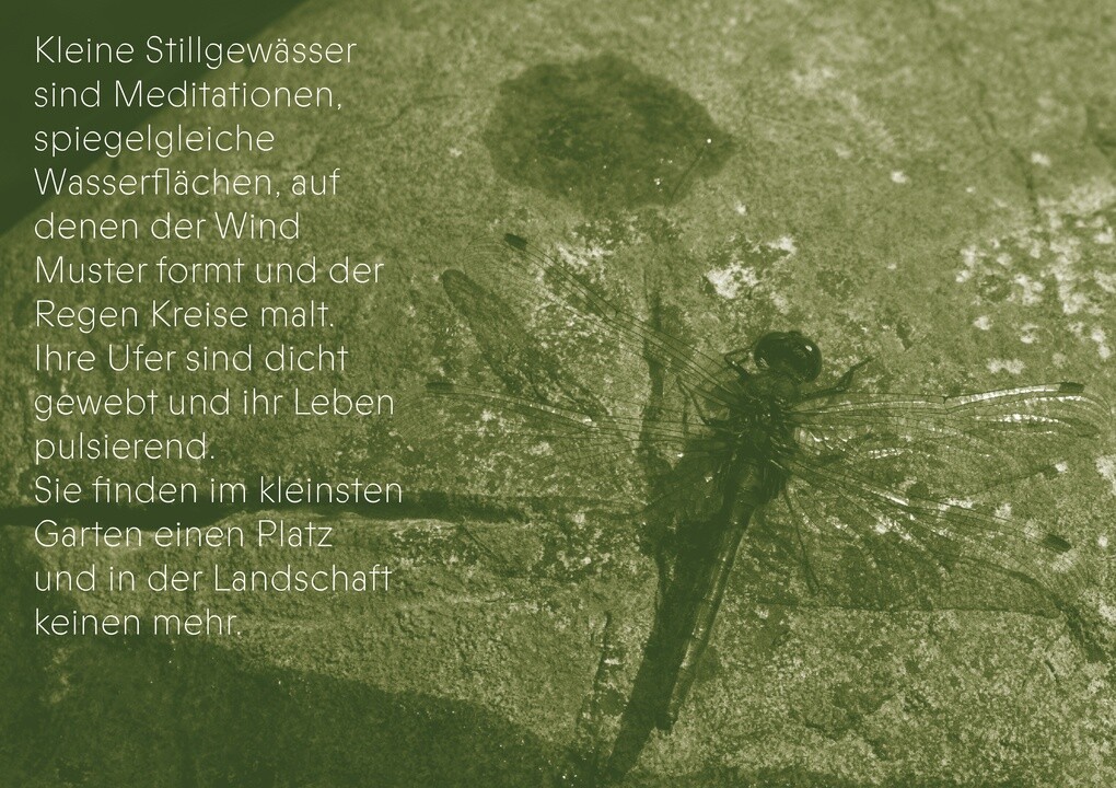Weitere Ansicht: Die Gaben des Wassers | Karin Hochegger