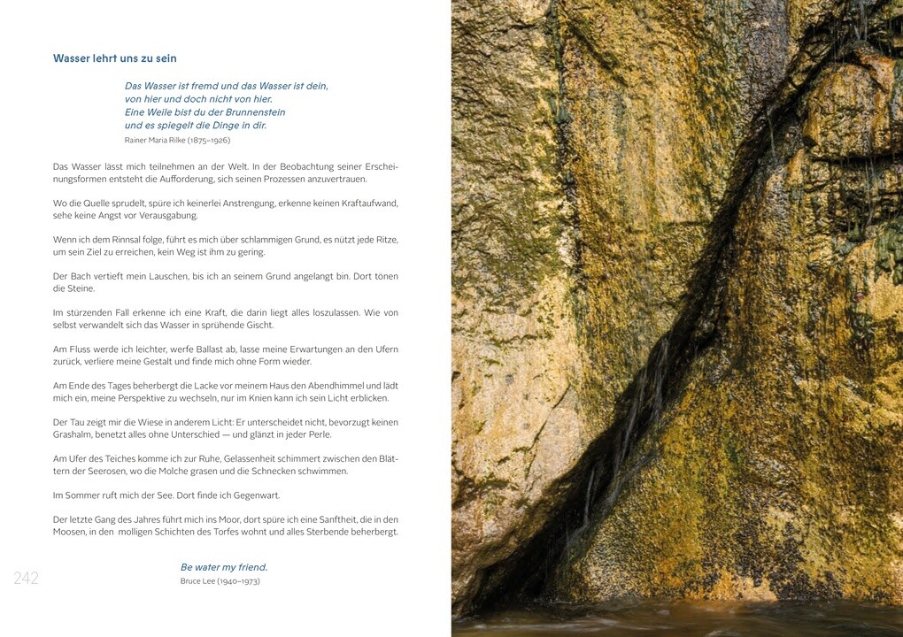 Weitere Ansicht: Die Gaben des Wassers | Karin Hochegger