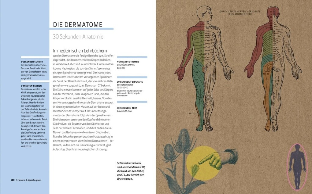 Weitere Ansicht: Anatomie und Medizin in 30 Sekunden | Gabrielle M. Finn