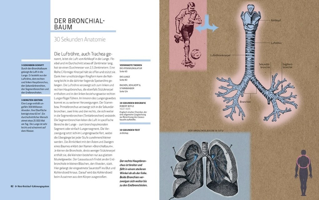 Weitere Ansicht: Anatomie und Medizin in 30 Sekunden | Gabrielle M. Finn
