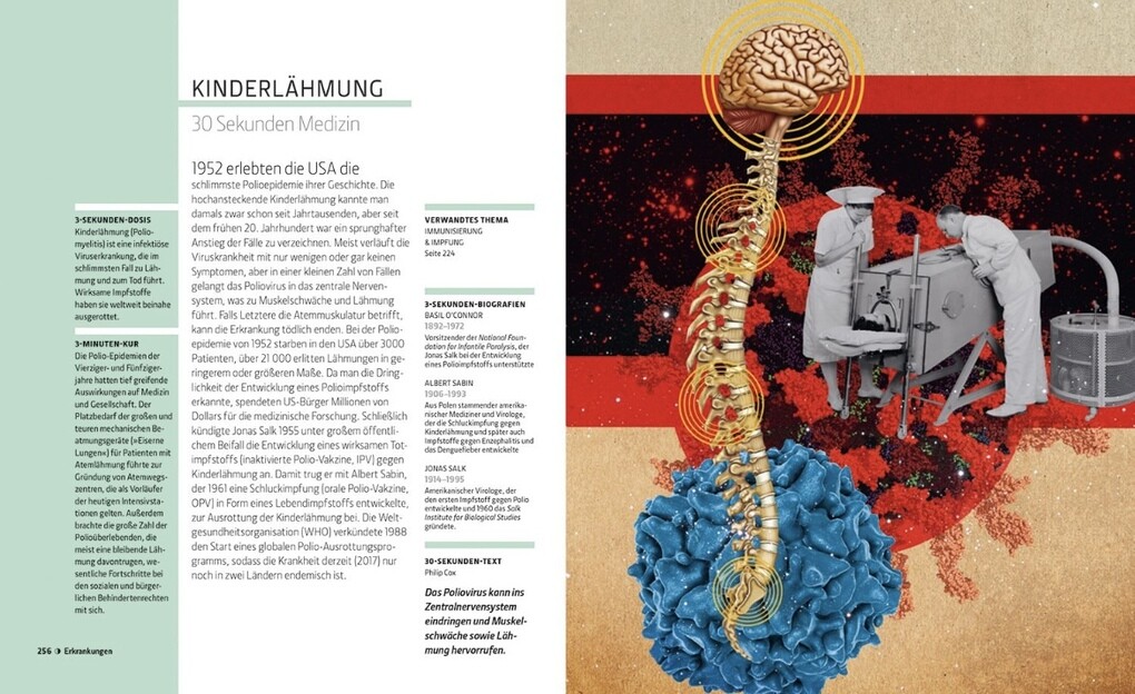 Weitere Ansicht: Anatomie und Medizin in 30 Sekunden | Gabrielle M. Finn