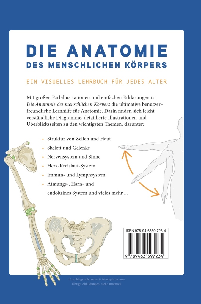 Weitere Ansicht: Die Anatomie des Menschlichen Körpers | Ken Ashwell