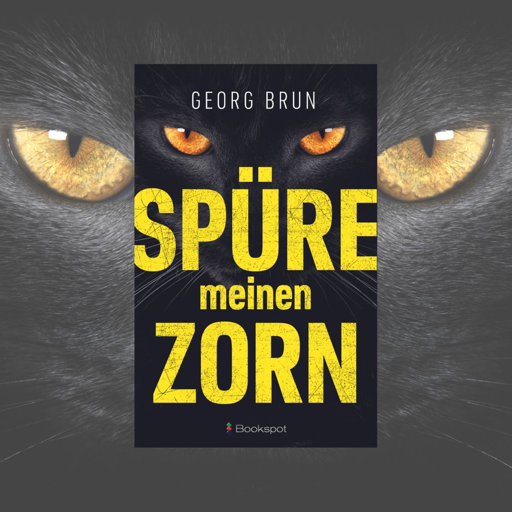 Produktbild: Spüre meinen Zorn | Georg Brun