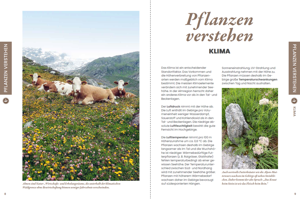 Weitere Ansicht: Praxisführer Almpflanzen | Andreas Bohner