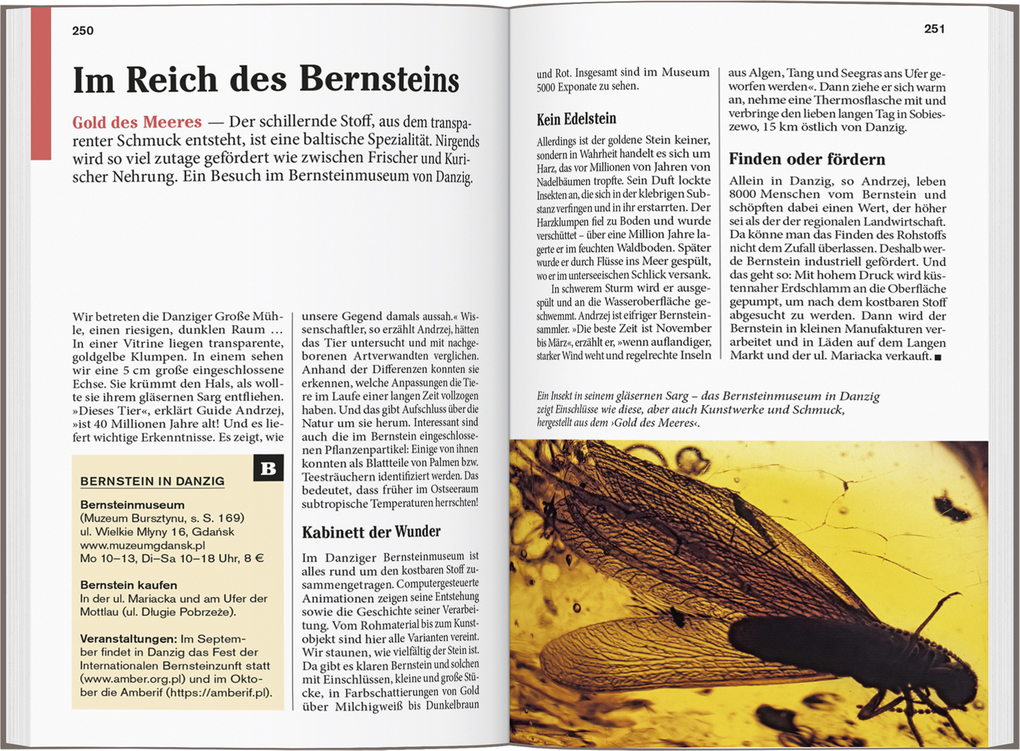 Weitere Ansicht: DUMONT Reise-Taschenbuch Reiseführer Polnische Ostseeküste | Izabella Gawin, Dieter Schulze