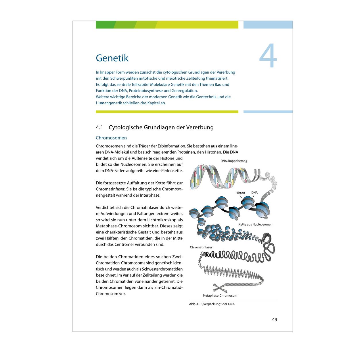 Weitere Ansicht: Fit fürs Abi | Karlheinz Uhlenbrock, Michael Walory