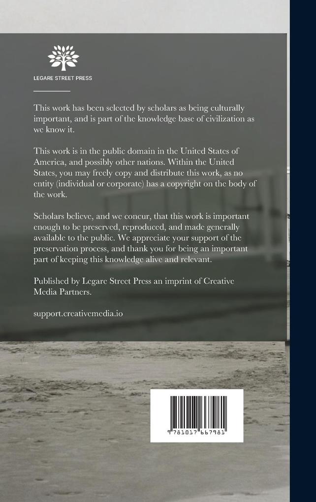 Weitere Ansicht: Vogelflug und Flugmaschine | Carl Steiger