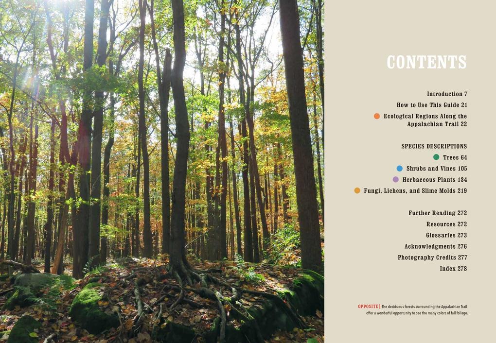 Weitere Ansicht: The Plants of the Appalachian Trail | Kristen Lea Wickert