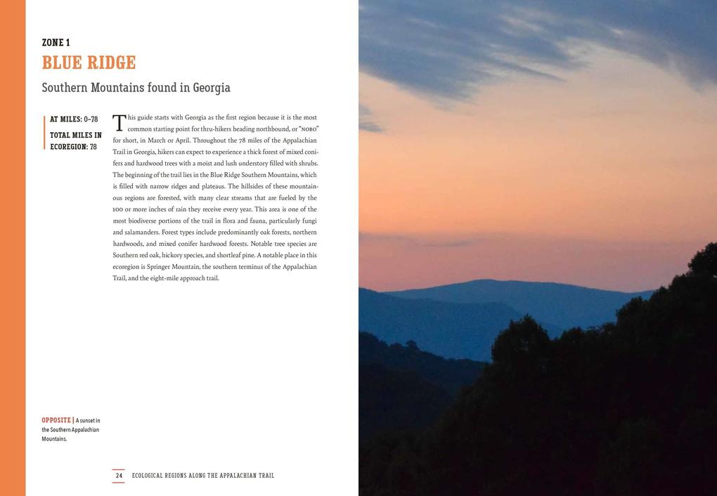 Weitere Ansicht: The Plants of the Appalachian Trail | Kristen Lea Wickert