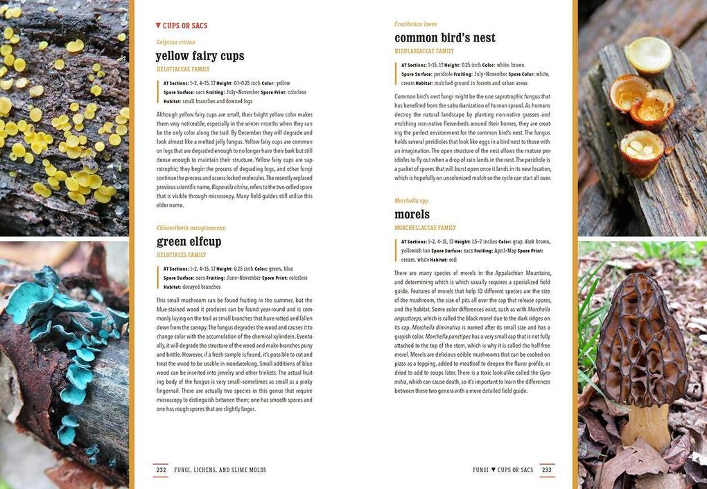 Weitere Ansicht: The Plants of the Appalachian Trail | Kristen Lea Wickert