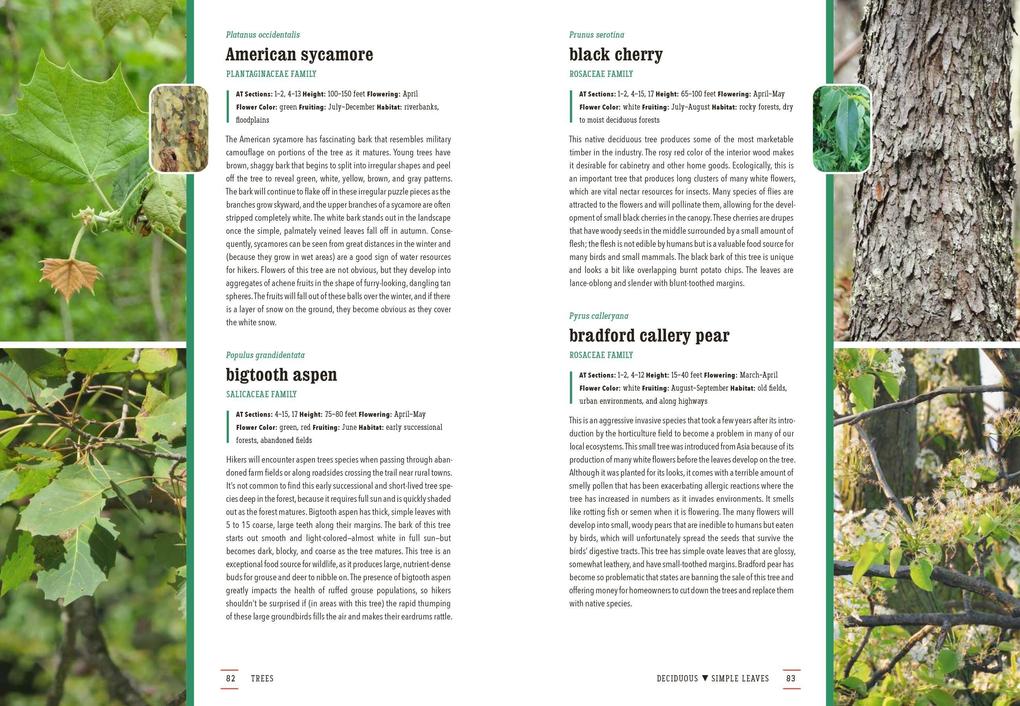 Weitere Ansicht: The Plants of the Appalachian Trail | Kristen Lea Wickert