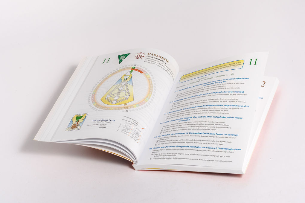 Weitere Ansicht: Die Kraft Deines Lebens | Chetan Parkyn