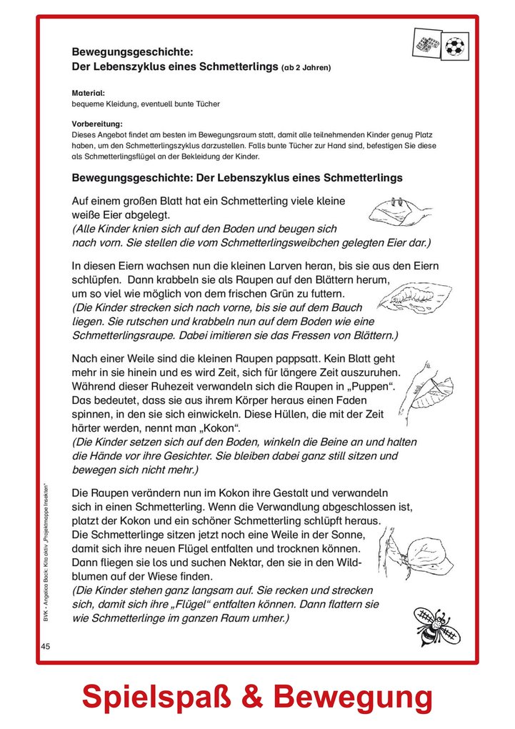 Weitere Ansicht: Kita aktiv Projektmappe Insekten | Angelica Back