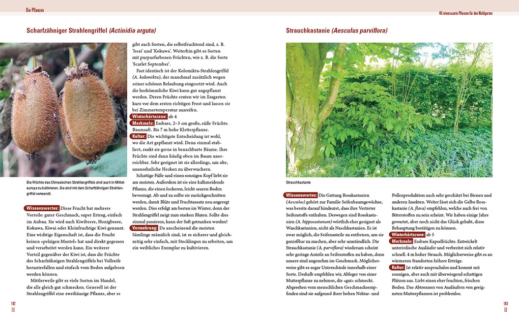 Weitere Ansicht: Praxisbuch Waldgarten | Volker Kranz, Frederik Deemter