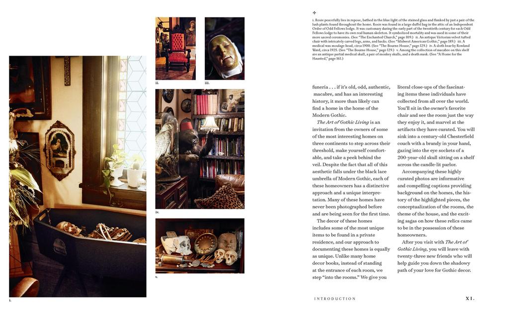 Weitere Ansicht: The Art of Gothic Living | Paul Gambino