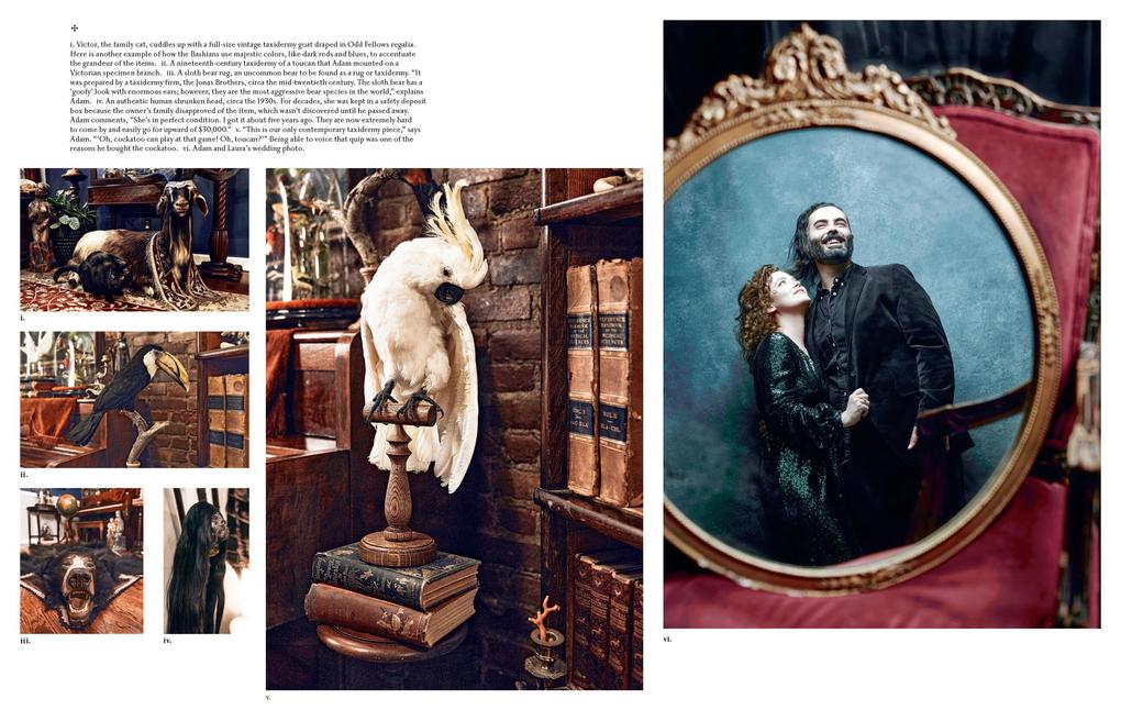 Weitere Ansicht: The Art of Gothic Living | Paul Gambino