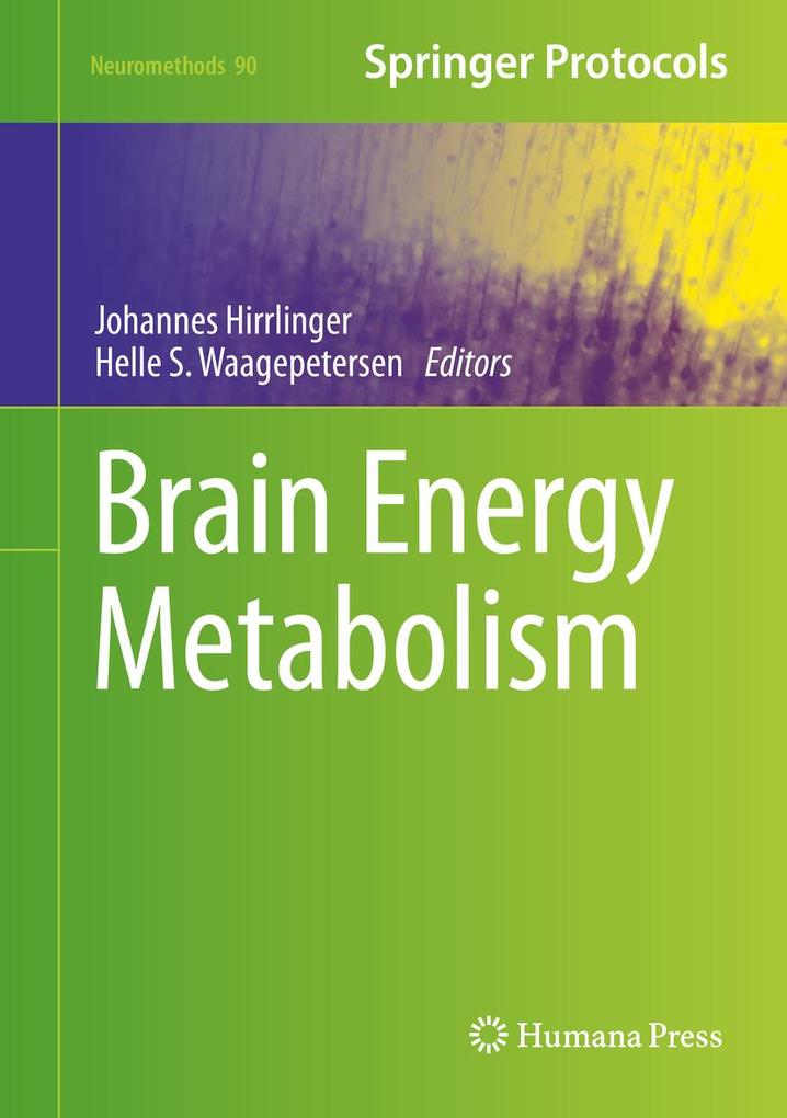 Produktbild: Brain Energy Metabolism