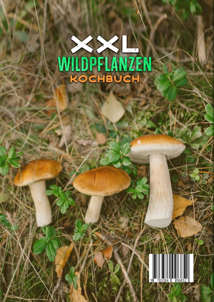 Weitere Ansicht: XXL Wildpflanzen Kochbuch | Kathrin Brauer