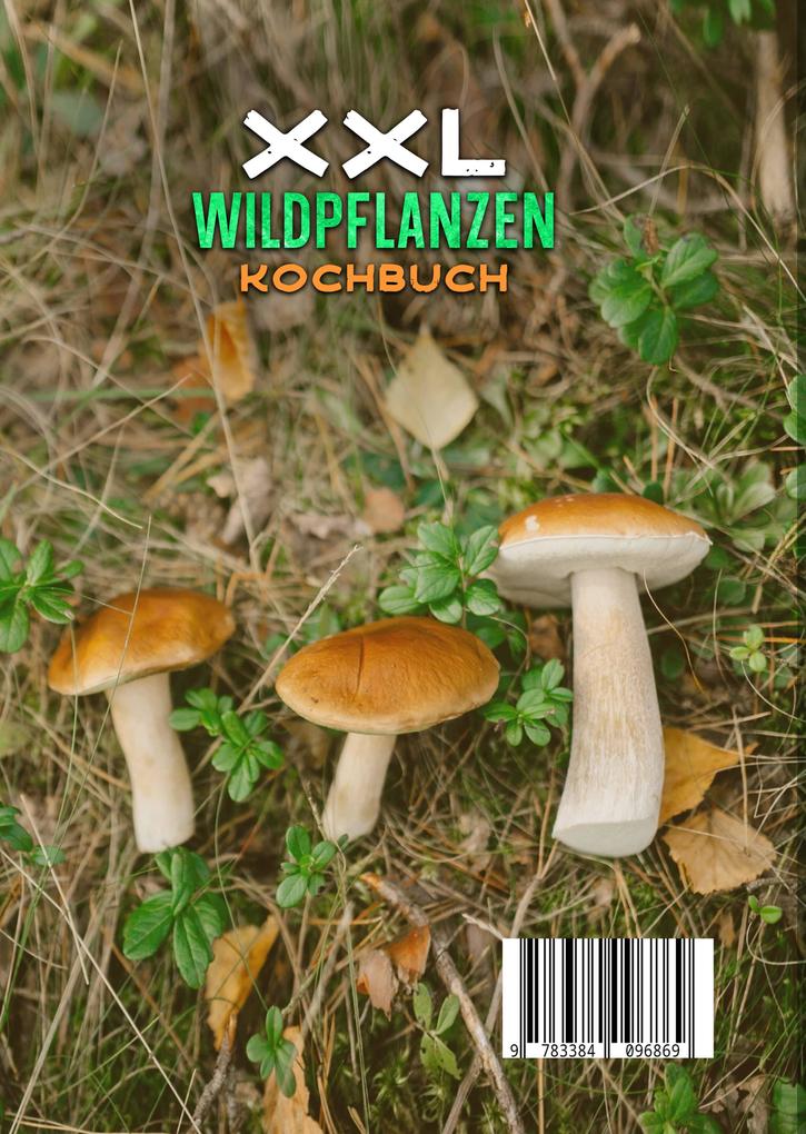 Weitere Ansicht: XXL Wildpflanzen Kochbuch | Kathrin Brauer