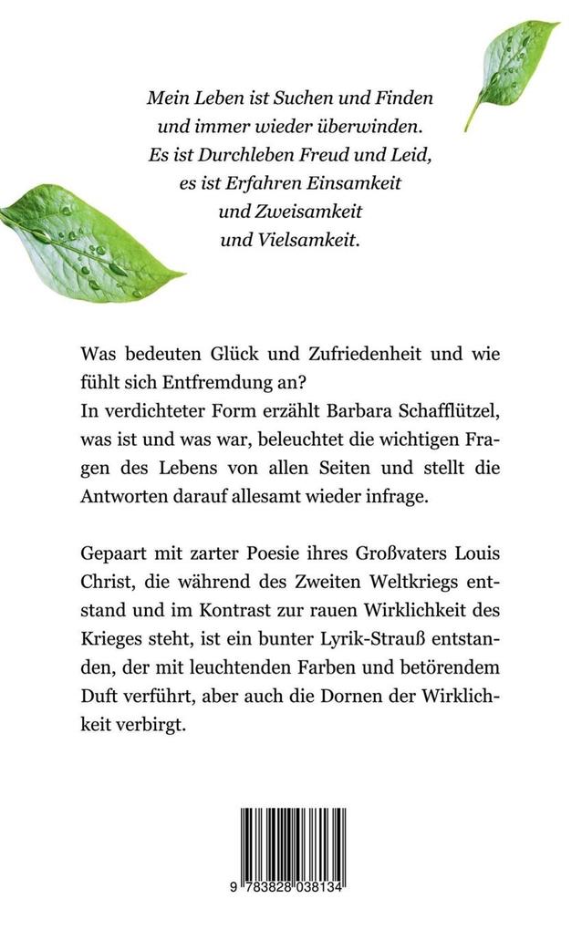 Weitere Ansicht: Spiegelungen | Barbara Schafflützel