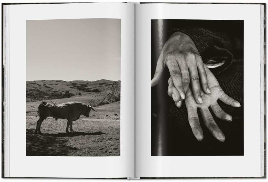 Weitere Ansicht: Peter Lindbergh. Untold Stories | Felix Krämer, Wim Wenders