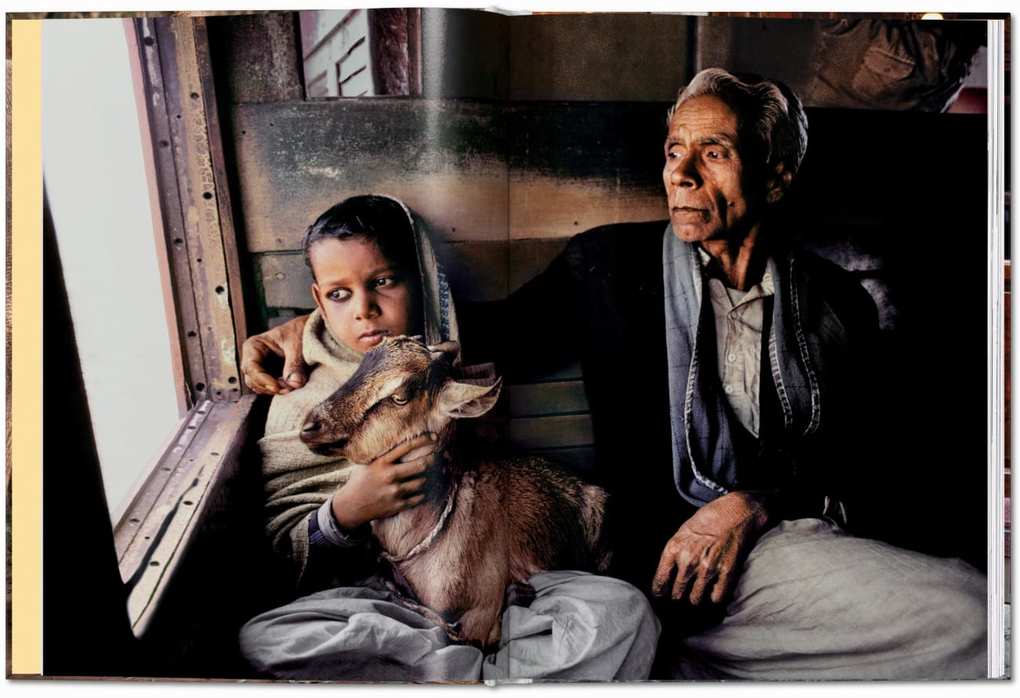 Weitere Ansicht: Steve McCurry. Animals