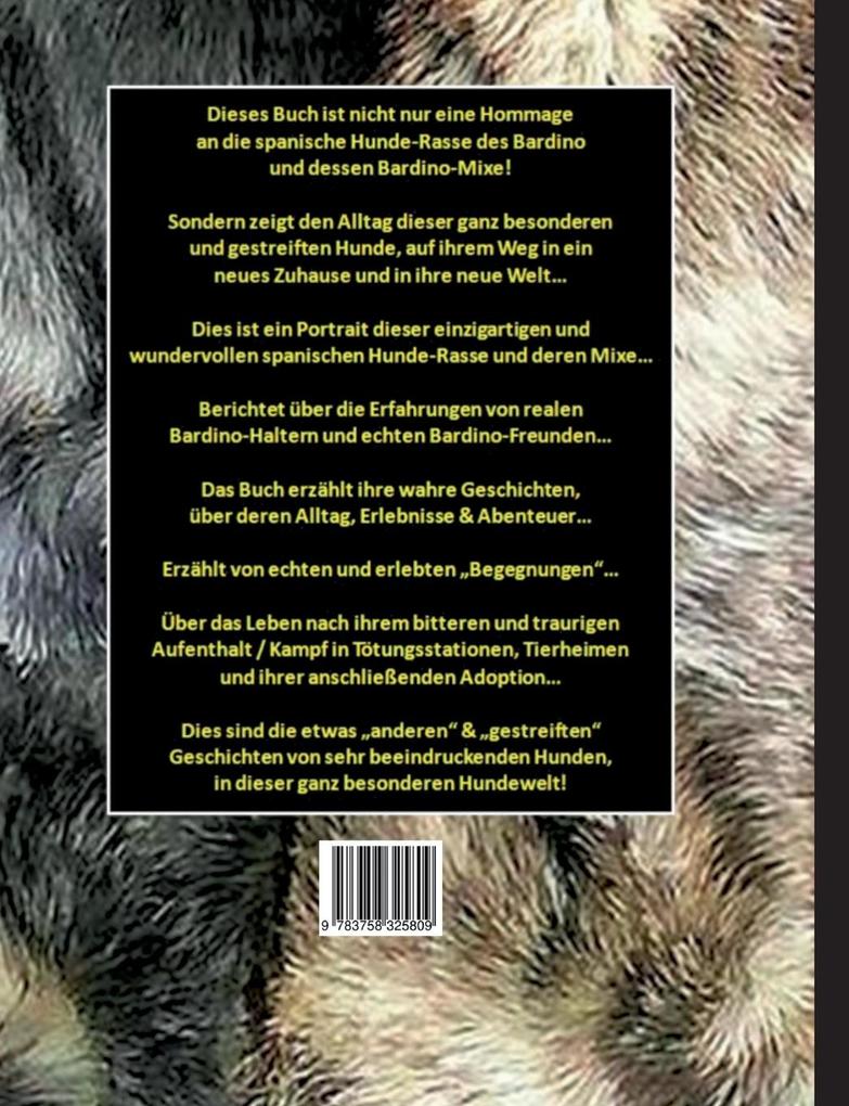 Weitere Ansicht: Bardino | Stefan Klink