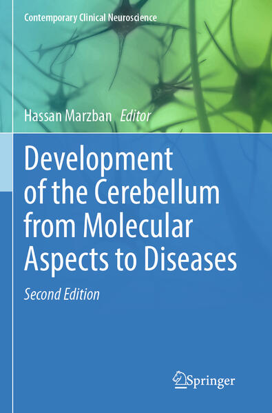 Produktbild: Development of the Cerebellum from Molecular Aspects to Diseases