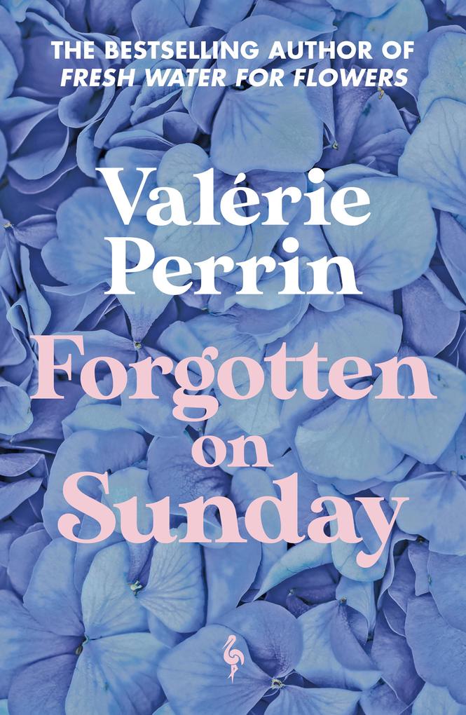 Produktbild: Forgotten on Sunday | Valerie Perrin
